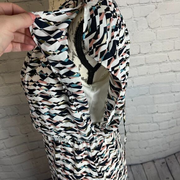 The Limited Abstract Print Dress - Picture 4 of 11